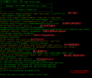 debian10一键配置安装lnmp1.8搭建wordpress环境