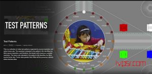 用于查看VPS对Netflix、Disney+等流媒体解锁支持一键脚本