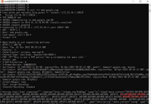 配置WSL2使用本机v2ray代理新手保姆教程