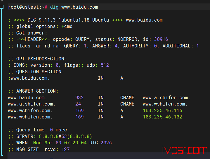- vultrsudumanyouhua02